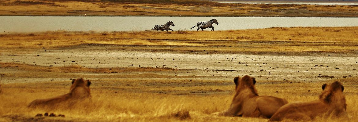 Un séjour inoubliable en Tanzanie