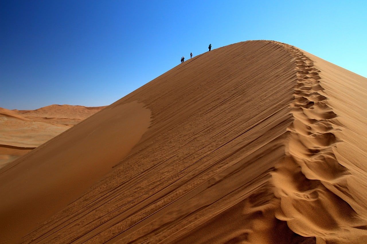 3 raisons de choisir la Namibie pour votre prochain safari